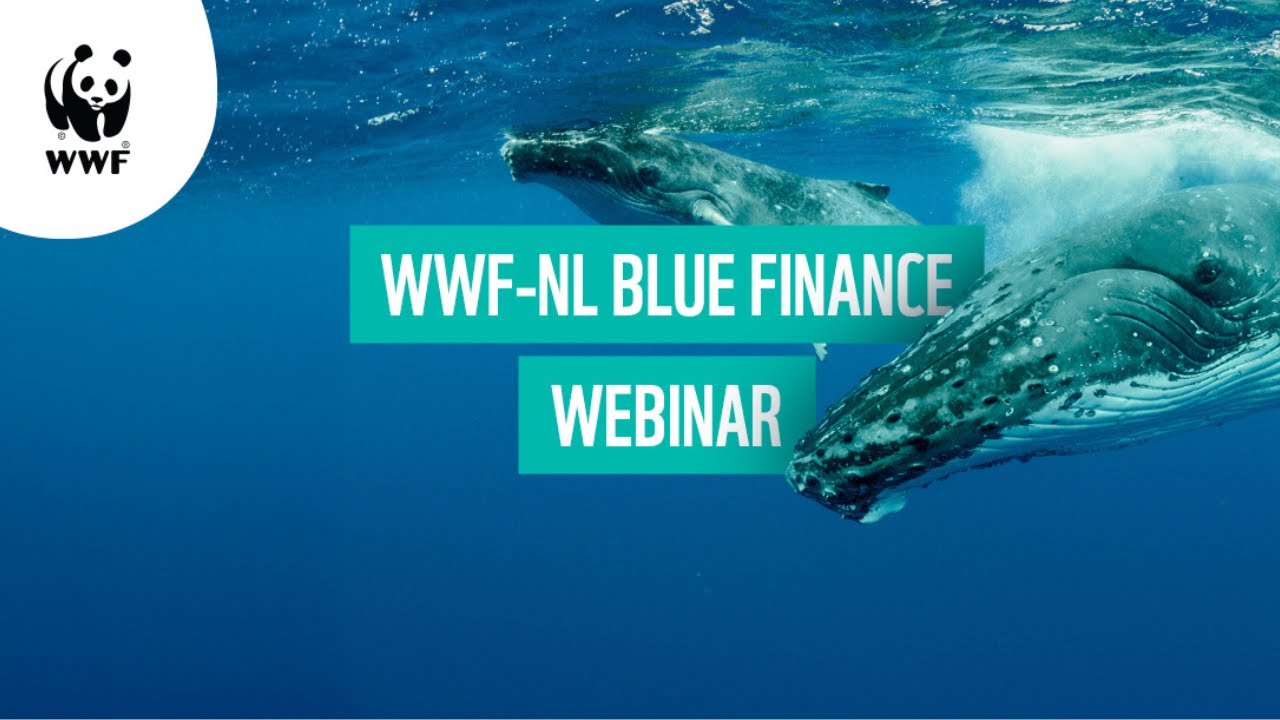 WWF-NL Oceans & Finance Webinar