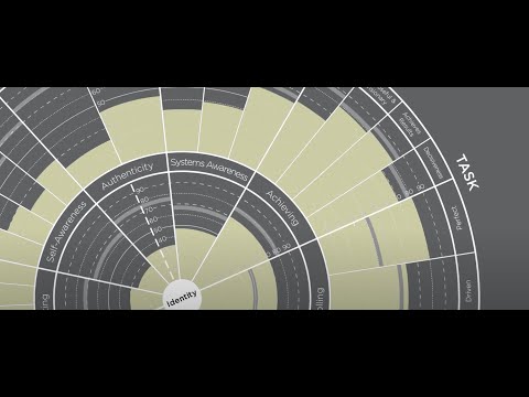 Leadership Circle Profile video thumbnail