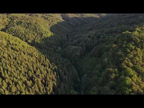 Valea Radestiului - Radesti, jud. Arad