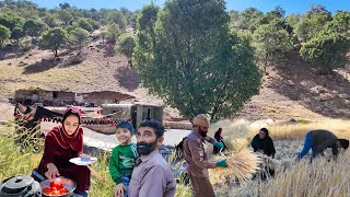 Download lagu Barley Harvest Season with Amir's Family 🌾🚜 | More Progress on Milad & Mahin’s Dream Home 🏡 mp3 Download lagu Barley Harvest Season with Amir's Family 🌾🚜 | More Progress on Milad & Mahin’s Dream Home 🏡 mp3