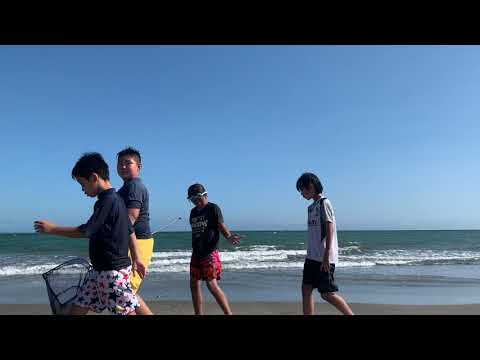 ☆夏の扉 ～ The Door of Summer / 作詞・作曲 守之介【 morinosuke Official Video ] morinosuke 10th Album inside 2019