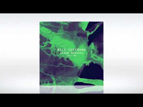 Track of the Day (25/08/2020) ~ Nils Hoffmann - The Clouds Silver Lining (Joachim Pastor Remix)
