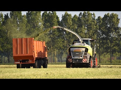 Claas Jaguar 970-type 498 - Loonwerken Neyt-Van Laere - gras hakselen