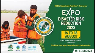 Dive into PEDRR-2023: Seminars, Green Talks, and Group Discussions