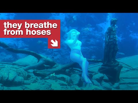 1940年代のマーメイドショーは今も群衆を集めている (The 1940s Mermaid Show That's Still Pulling Crowds)