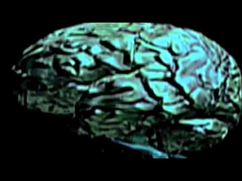 Come risolvere un problema di alcolismo del marito Questo ha smesso di bere appezzamenti