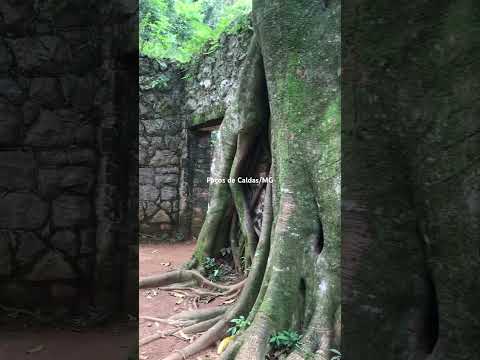 Minas Gerais: Guia completo para explorar suas riquezas históricas e naturais.