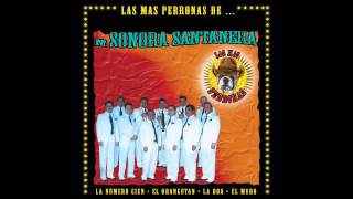 El Mudo - Las Más Perronas de La Internacional Sonora Santanera