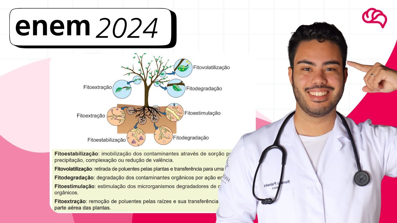 Resolução em Vídeo — Questão 134 ENEM 2024