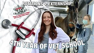 4TH YEAR OF VET SCHOOL + PREPARING FOR MY EXTERNSHIP 🐮