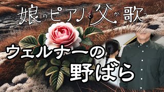 Download lagu 【テノール独唱】ウェルナーの野ばら【Werner: Heidenröslein】 mp3