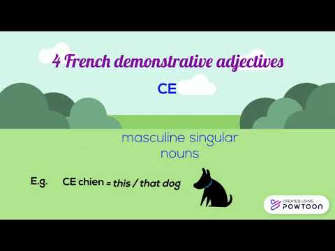 Demonstrative adjectives and pronouns in French