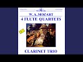 Four Quartets for Flute, Violin, Viola and Cello No. 1 in D Major K.285: I. Allegro
