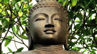 Ebo Man - Donuts With Buddha
