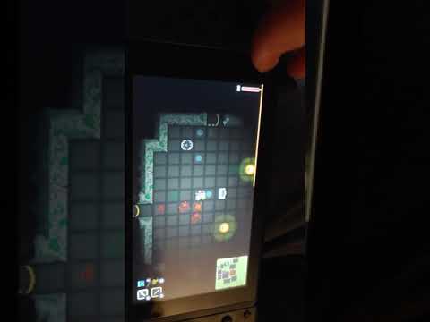 Quest of Dungeons ,switch review