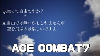 【底辺配信者】[PC][Jingle bells実況配信] 　MODで楽しむエスコン　　[ACE COMBAT 7]
