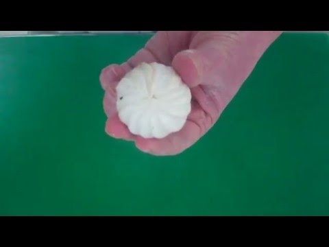 How to Turn a Mushroom