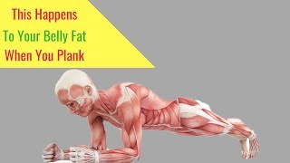 This Happens to Your Stomach Fat When You  Plank - 6 Good Reasons Why You Should Do Plank Daily