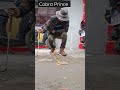 Cobra Prince
