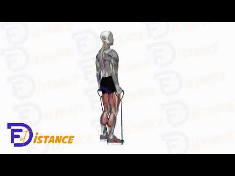 Exercice Soulevé de terre aux élastiques