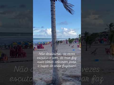 Sítio do conde Bahia, um dos lugares onde me trouxe várias aventuras!