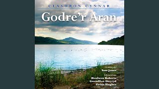 Awdl Foliant I Gymru