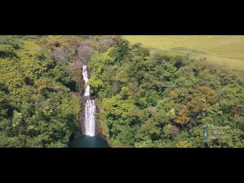 Imagine what's coming to Botanical World Adventures!