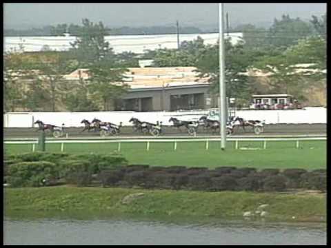 1993 Hambletonian