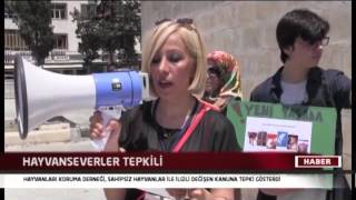 Kimsesiz Hayvanlar Koruma ve Doğa  Derneği
