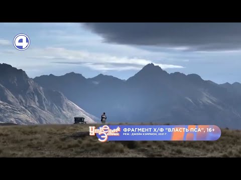 Подборка фильмов от Андрея Кулика