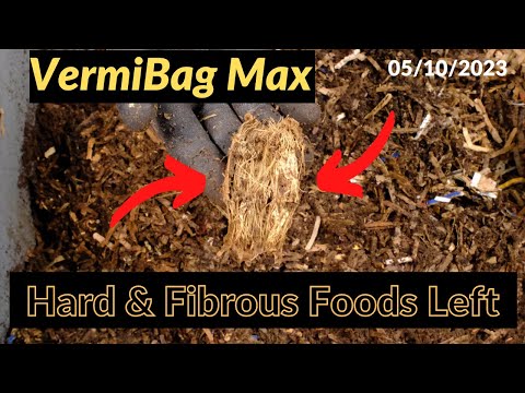 Vermibag Max -  48 Days and NO Flies!! 05/10/2023