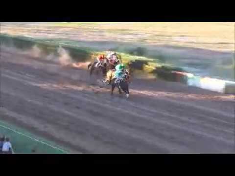 Ganador Pobre Negro carrera 14