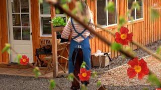 GETTING READY FOR SPRING | cozy homemaking, cooking, gardening | Scandish Home