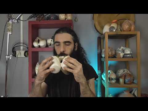 Double harmonic ocarina -B minor Alien moss- instruments demonstration