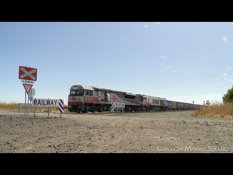 7922V SCT Dooen Container Train At Buchter Road Railway Crossing (9/1/2023) - PoathTV Railways