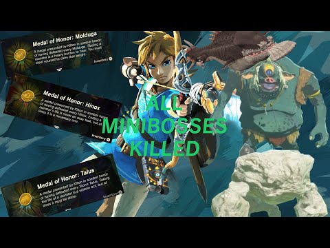 I killed all minibosses in BOTW!