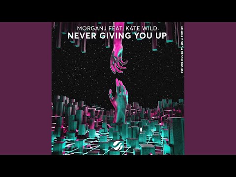 Never Giving You Up (Original Mix)