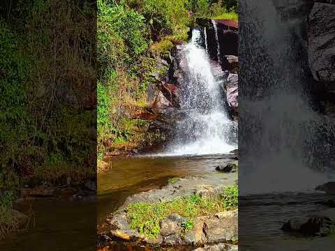 🌿 Cachoeira do Mato Limpo — Cunha/SP A Cachoeira do Mato Limpo é uma parada linda na estrada.