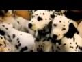101 Dalmatinů 1996 Trailer