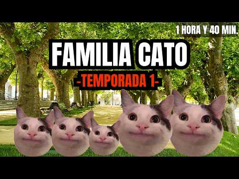 FAMILIA CATO TEMPORADA 1 (1 hora y 40 minutos de memes de gatos)
