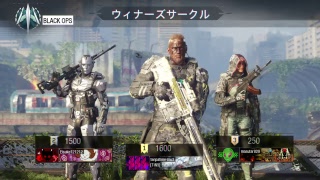 bo3やっていく