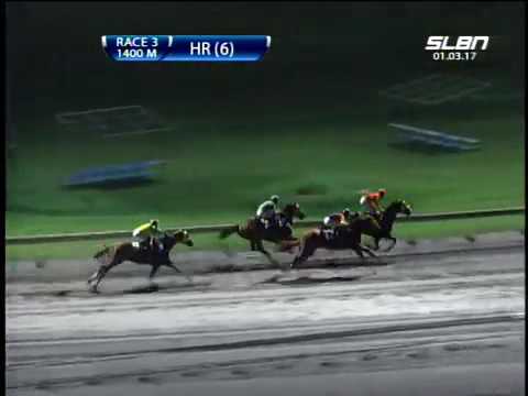 SLLP | Race 3 | 3rd place - #8 Cat's Regal | 2017/01/03