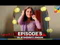 Dil Ik Shehar E Junoon Episode 5
