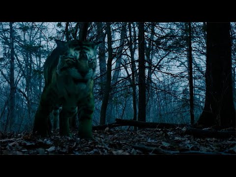 Beast Boy Powers and Fight Scenes - Titans Season 1 and 2