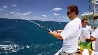 Fish Mavericks catching shark bait