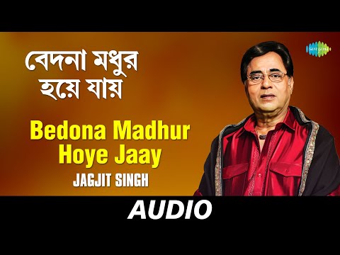 Bedona Madhur Hoye Jaay | Bangla Ganey Parampara | Jagjit Singh | Audio