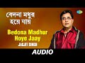 Bedona Madhur Hoye Jaay Bangla Ganey Parampara Jagjit Singh Audio
