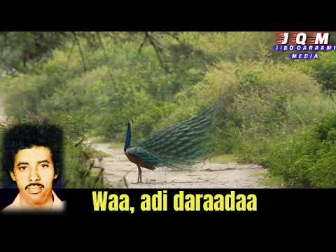 muuse ismaaciil qalinle HEESTII: daa,uus