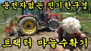 트랙터에 마늘수확기를 이용해서 마늘수확하는 모습을 보았어요
