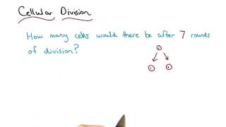 Cellular Division Solved - Visualizing Algebra